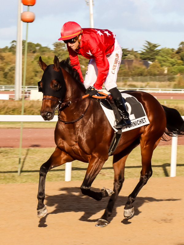 Christophe SOUMILLON