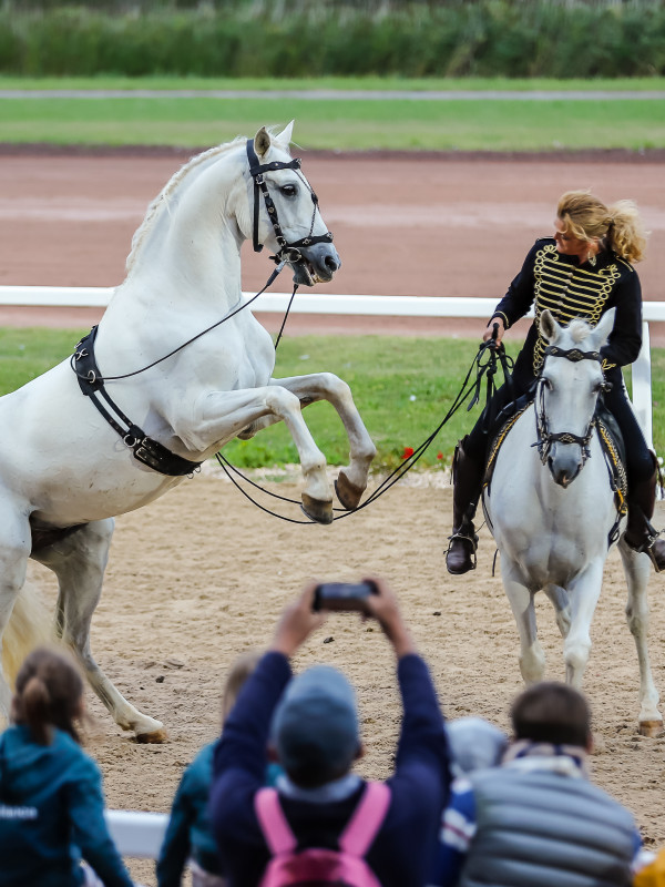 trot