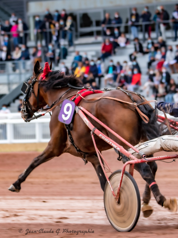 Trot