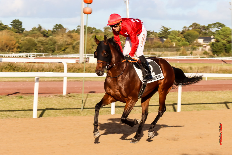 Christophe SOUMILLON